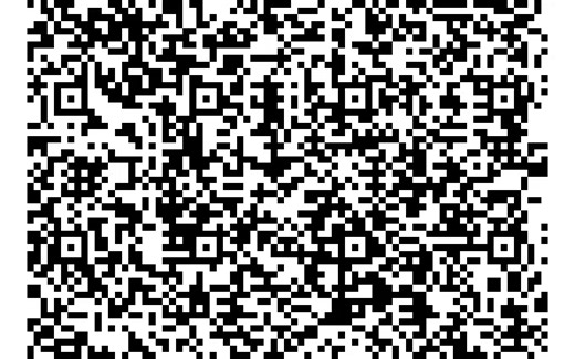 通过逐帧扫描此二维码序列可以恢复文件10