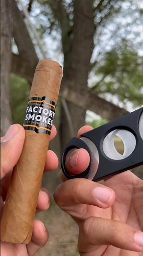 CALM EVENING ! ☀️ WITH A FACTORY SMOKES BY DREW ESTATE CIGAR ! 🔥 #asmr #cigarsdaily