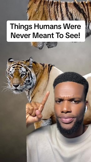 Daytime Fireworks & Other Bizarre Sights