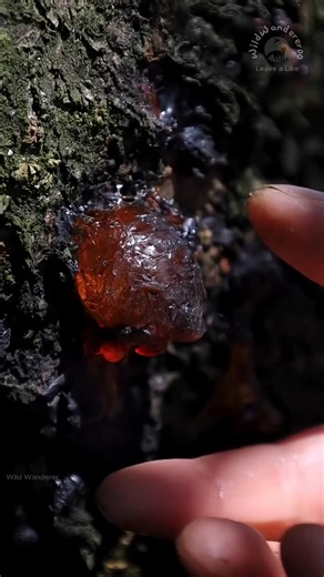 Stop Doomscrolling | Stay Focused on Instagram: "Here’s a guide to help you reduce your social media use: Set Clear Goals Identify why you want to reduce social media. Whether it’s for better focus, mental health, or increased productivity, having a reason will keep you motivated. Track Your Usage Use apps like Screen Time (iOS) or Digital Wellbeing (Android) to monitor how much time you’re spending on social media. This will give you a clear picture and help identify patterns. Set Daily Limits 