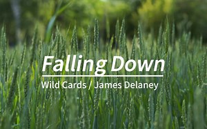 宝藏歌曲丨我已沉沦 灵魂坠落Falling Down