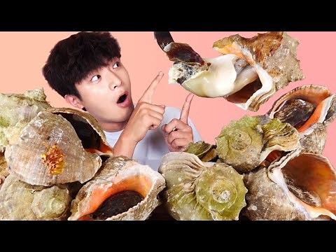 ENG SUB)Amazing! Chewy Giant Conch(Seashells) 5KG Eat Mukbang!🐚Korean Seafood ASMR Hoony Eatingsound
