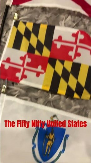 The fifty nifty state flags of the #USA