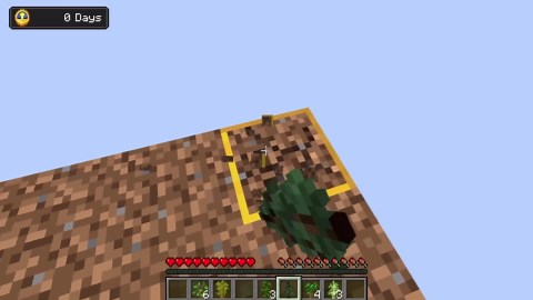 The Challenge of Living 1,000,000 Days on One Block in Minecraft