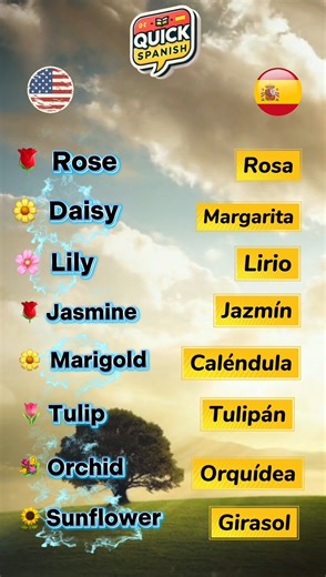 Spanish Vocabulary for Beginners!!! Topic- Flowers Vocabulary!!! | Quick Spanish | Facebook