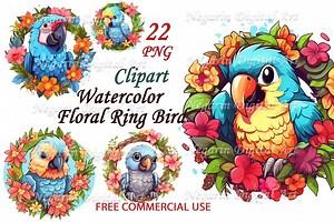 Floral Bird Clipart: Watercolor Bird PNG, Nursery Decor (digital Download) - Etsy UK