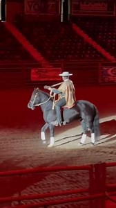 One of a kind is not a slogan. It is a responsibility. A Chilean Huaso standing between two worlds — singing Chilean songs in English, riding a Chilean Horse, carrying a culture, a history, and a living tradition into a new generation. This is not entertainment. This is identity. This is horsemanship. This is heritage in motion. From the rodeos of Chile to the arenas of Working Equitation, to international equestrian stages — the Chilean Horse proves once again that it is a true multi-purpose at