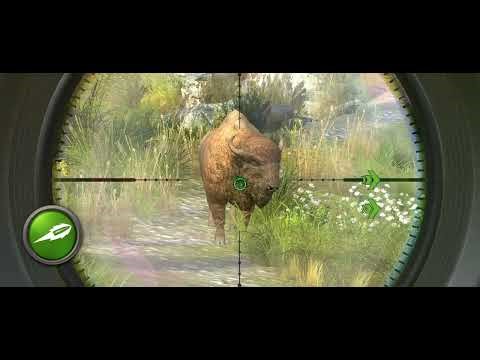 🔥 Hunting Clash Gameplay | Realistic Hunting Experience | Epic Animal Hunt 2025 🎯