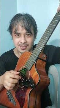 Rixton Guitar Pickup demo and review