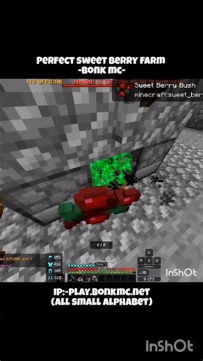 Best Working Sweet Berry Farm 1M+/h | Bonk MC | #bonkmc #gojo #fyp #toji #sukuna #minecraft | SteXe
