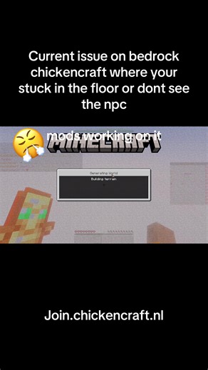 Sad Glitches in Chickencraft: Current Issues