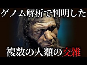 Interbreeding had a major impact on human evolution. DNA analysis reveals that ancient humans int...