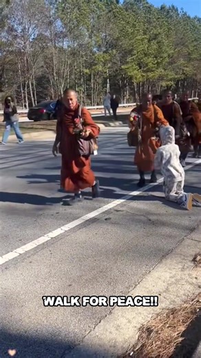 2,300 mile walk for peace!! such a beautiful thing to witness, i am so beyond greatful. 🤍🧡#PeaceWalk2025 #AlokaPeaceDog #georgia#walkforpeace #montgomery