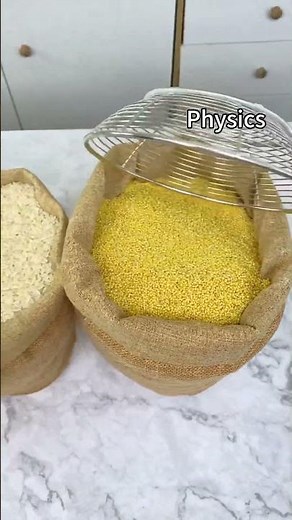 🔬🐾Dr. Puff's exploring cool physics tricks—can you guess which ones are real? 🎩✨ #thatlittlepuff