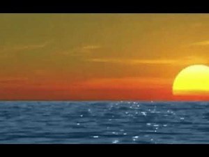 Dog Staring At The Sunset (Official Visualizer)