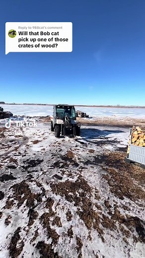 Replying to @988cat #toolcat #iambobcat #wearebobcat #bobcatofficial #bobcatequipment #5600toolcat #fypage