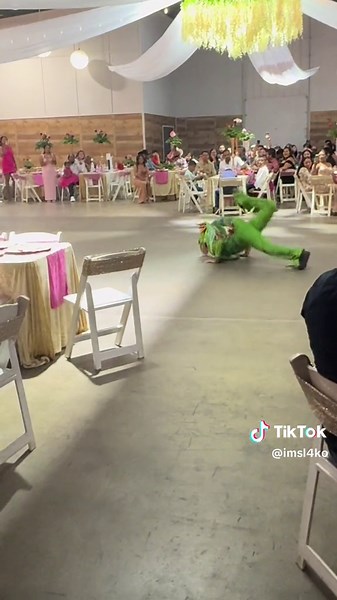 Iguana Dancing TikToks - Best Iguana Baile Compilation