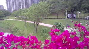 48MP USB Camera Autofocus Ultra HD 70 Degree Lens with Mini Metal Case, High Speed 4K 30fps Webcam Plug and Play Industrial Surveillance Security Camera for PC/Mac OS/Windows/Raspberry Pi/Scanner