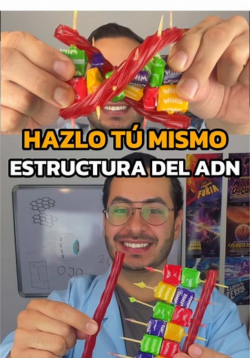 🧬 Crea una estructura 3D del ADN con materiales caseros (y dulces 🍬) 👉 Pregunta por nuestro curso de ciencia. ¡Está muy divertido! #todossabios #cienciaentiktok #aprendecontiktok #experimento #ciencia