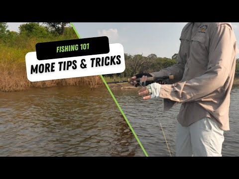 Fly Fishing Tips