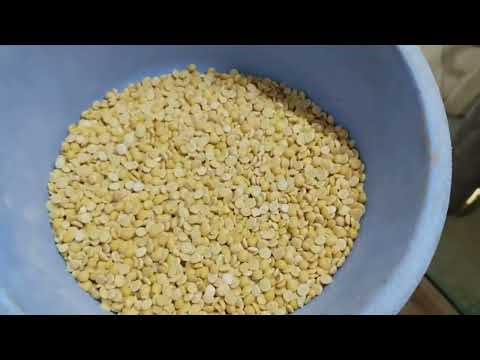 Color Sortex machine - solapur