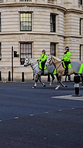 Two Gorgeous Met Police Horses Entering at Horse Guards in London. The Metropolitan Police (Met) Mounted Branch uses horses for patrols, ceremonial events, and crowd control. The horses are usually a mix of thoroughbred and draft breeds, and are chosen for their temperament, size, and trainability. How the horses are selected The Met buys horses from the open market, sometimes through advertisements Horses are typically around four years old and backed The Met looks for horses with good temperam