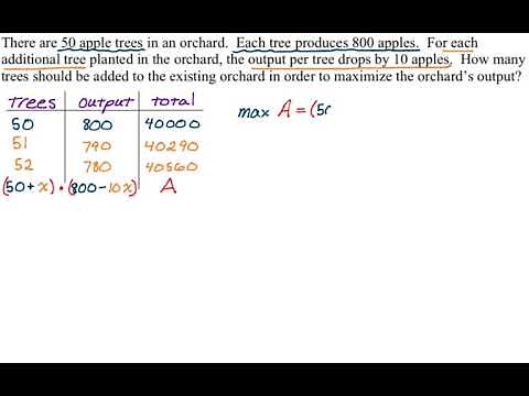 Calculus Optimization: Apple Orchard Problem