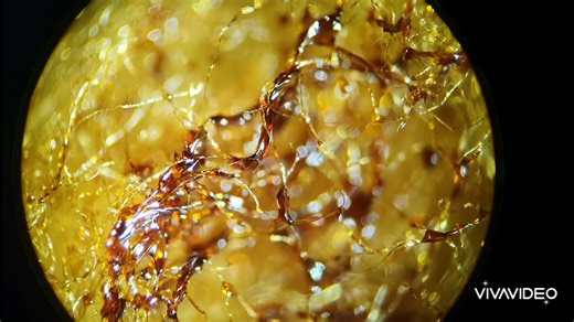 Do Cigarette Filters Actually Make Smoking Safer?