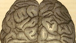 How your 'brain's age' impacts your health