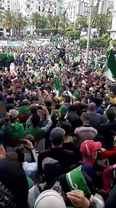 90K views · 3.1K shares | Alger grande poste- 11h | algerie-focus.COM | Facebook