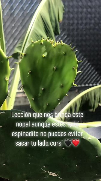 Videos de user3777810383537 (@talewinehouse) con “Wicca - Tattoo of Pain”