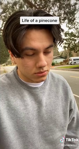 Life of a Pinecone: Interactions and Environments