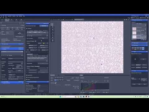 How to perform image stitching #ZEN #ZEISS #microscope