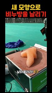 새 모양으로 비누방울 날리기 #shorts #유머 #짤 #코믹 #동물 #개그 #funny #재밌는영상 #웃긴영상 #웃긴짤 #새 #비누방울 #놀이