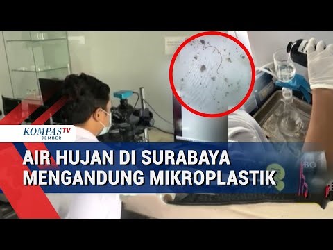 Air Hujan di Surabaya Tercemar Mikroplastik, Ini Temuan Mengejutkan Peneliti