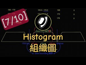 組織圖 | Histogram
