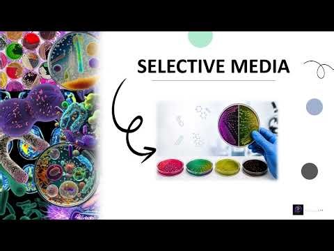 SELECTIVE MEDIA