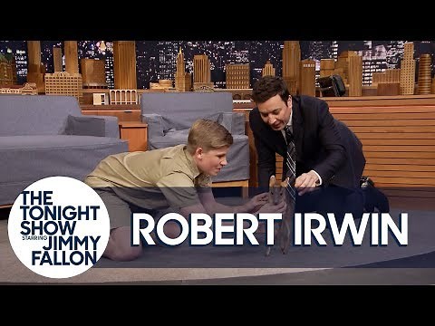 Robert Irwin and Jimmy Play with an Adorable Baby Deer