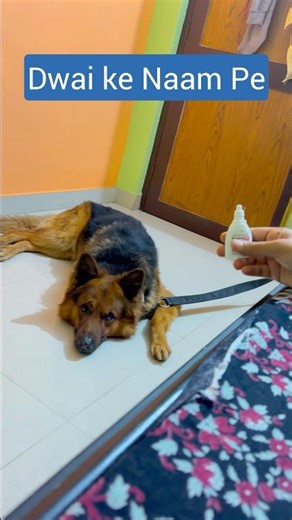 Dwai ke Naam Pr😘#viralshort #like #cute #animals #support #subscribe #love #viral #care #funny