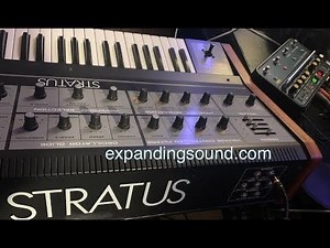 Sunday Synth Fun - Crumar Stratus analog synthesizer and Korg SDD 3000 delay pedal sound exploration