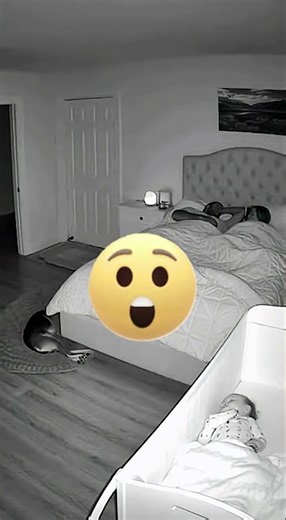 Are Self Opening Doors a Security RISK to Your Home?