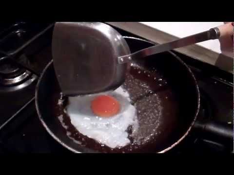 Fried Seagull Eggs For Dinner!