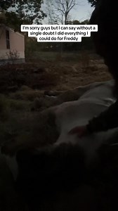 Rip Freddy #rufusthebull | Rufus The Bull