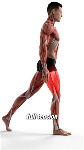 Build Hamstrings the Right Way (Most People Miss This)