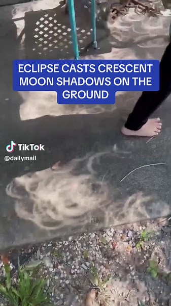 Eclipse Casts Crescent Moon Shadows on the Ground