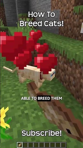 How To Breed Cats In Minecraft?!