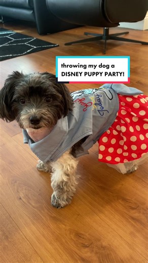 Disney Puppy Party: A Magical Celebration for Dogs