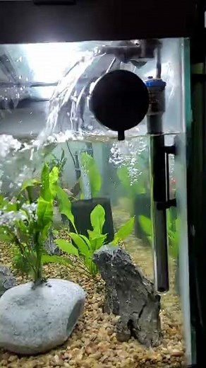 SunSun HW-3000 flow at power level 4 of 6