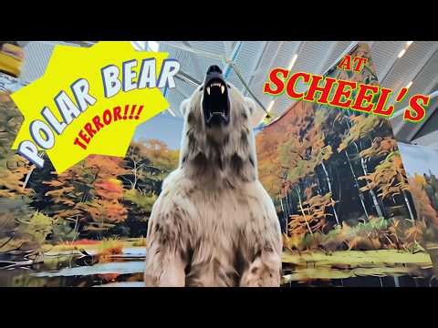 Scheel's Polar Bear Comes To Life