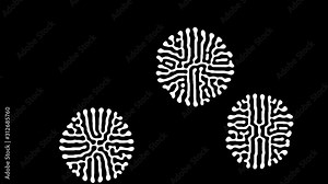 2d black and white reaction diffusion pattern. Organic natural shape. Simple science background.